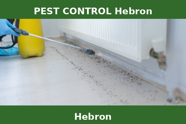 PEST CONTROL Hebron